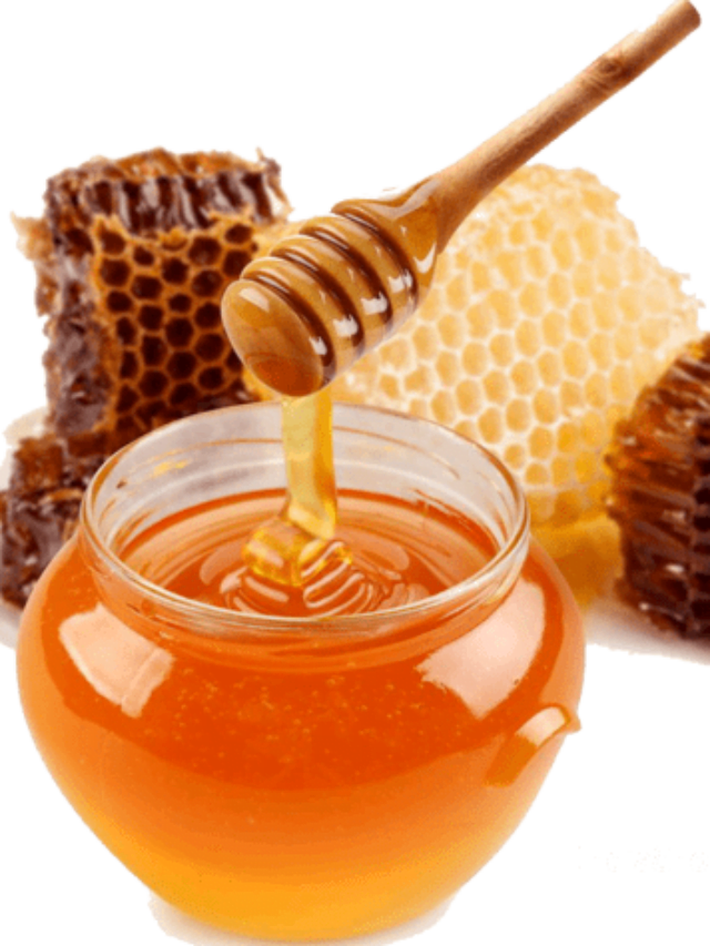 Best Honey in India